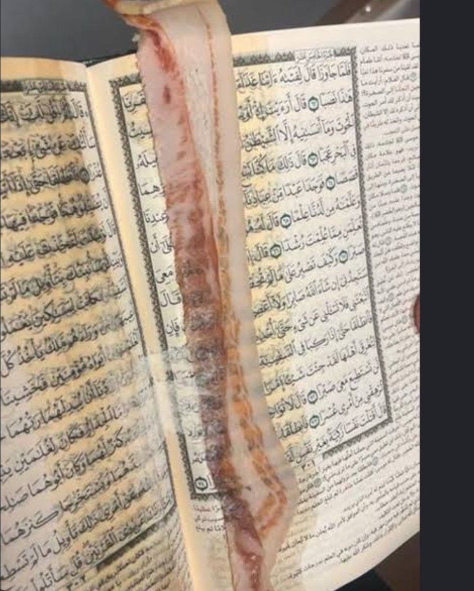 Mattylicious420's tweet photo. #FuckIslam https://t.co/7w55p4UxhO