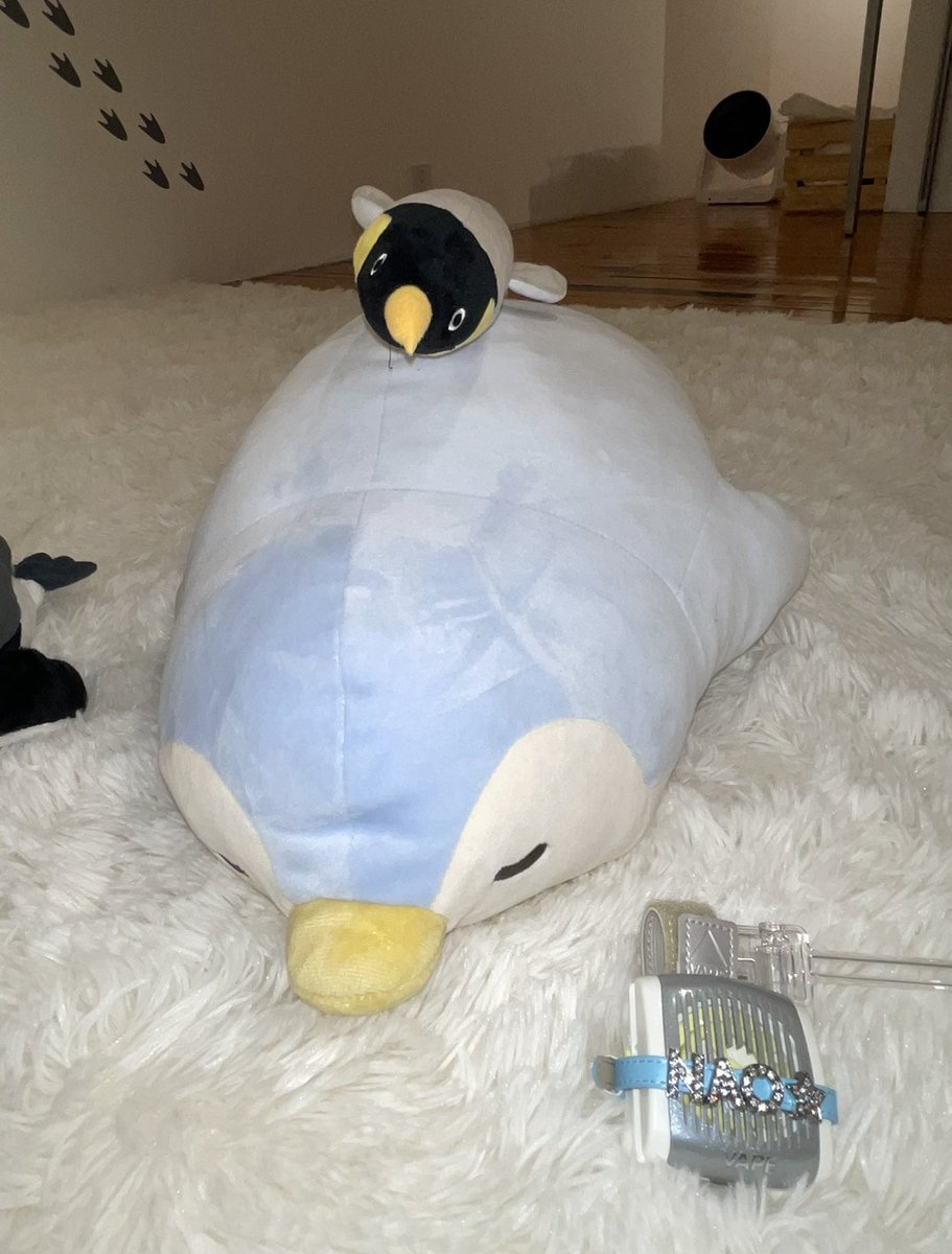 iko7211's tweet photo. ぐっすり寝そべりペンギンと寝そべりどこでもベープ🐧💤＃フマキラー
#at_living https://t.co/C0yrPOK9y8