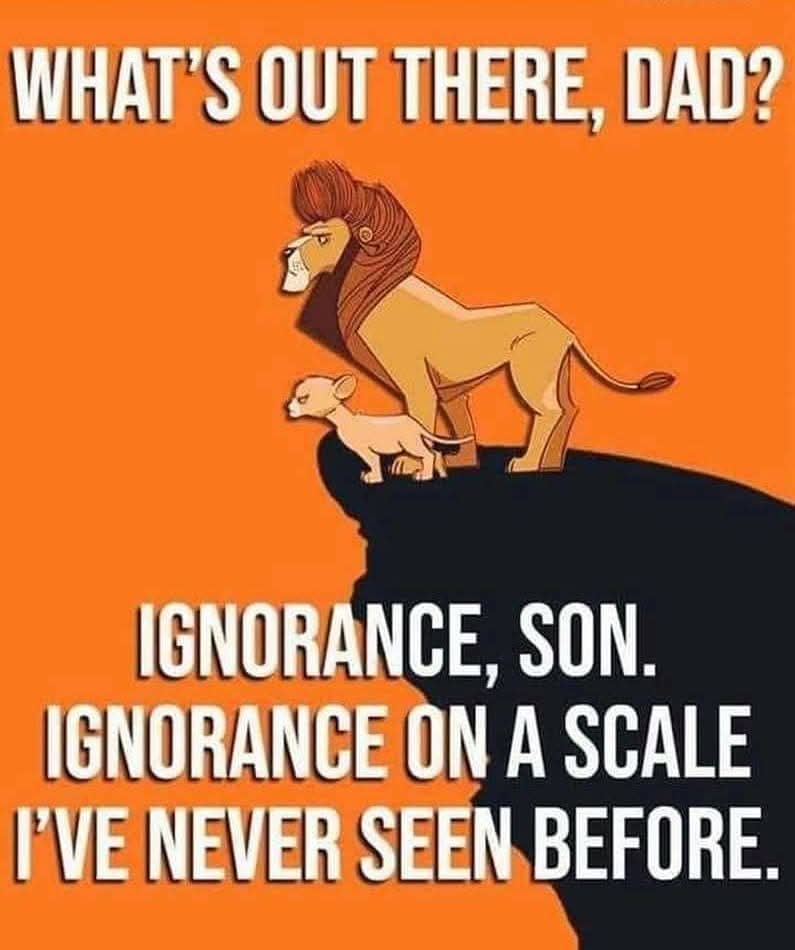 tonyrobles's tweet photo. Nothing in the world is more dangerous than intentional ignorance and or dedicated stupidity. 🤦‍♂️😮‍💨 https://t.co/0f5JWYGRLp