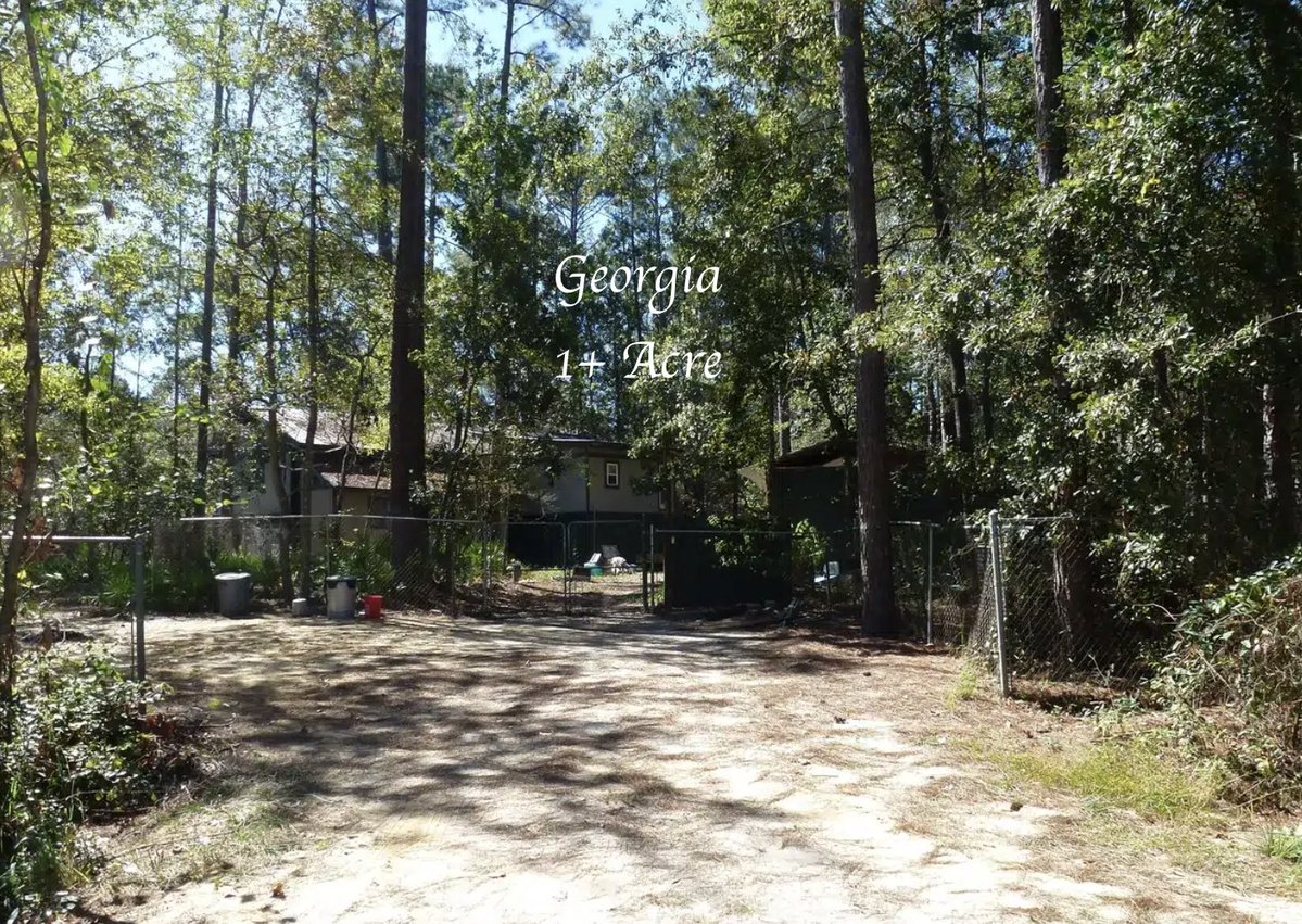 CountryLife717's tweet photo. #Riverfront #Cabin in #Georgia: 200 Feet of Canoochee River Frontage on 1 #Acre – $90K. 
https://t.co/souTtFiipA https://t.co/gb7J9FzNLo
