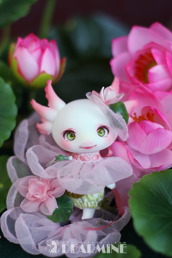 DearMineDoll's tweet photo. New items
KR) https://t.co/4IXGfJSPPQ
EN) https://t.co/HeyXumHI8x
JP) https://t.co/9UsRSE12q8 https://t.co/yle7cvkxkd