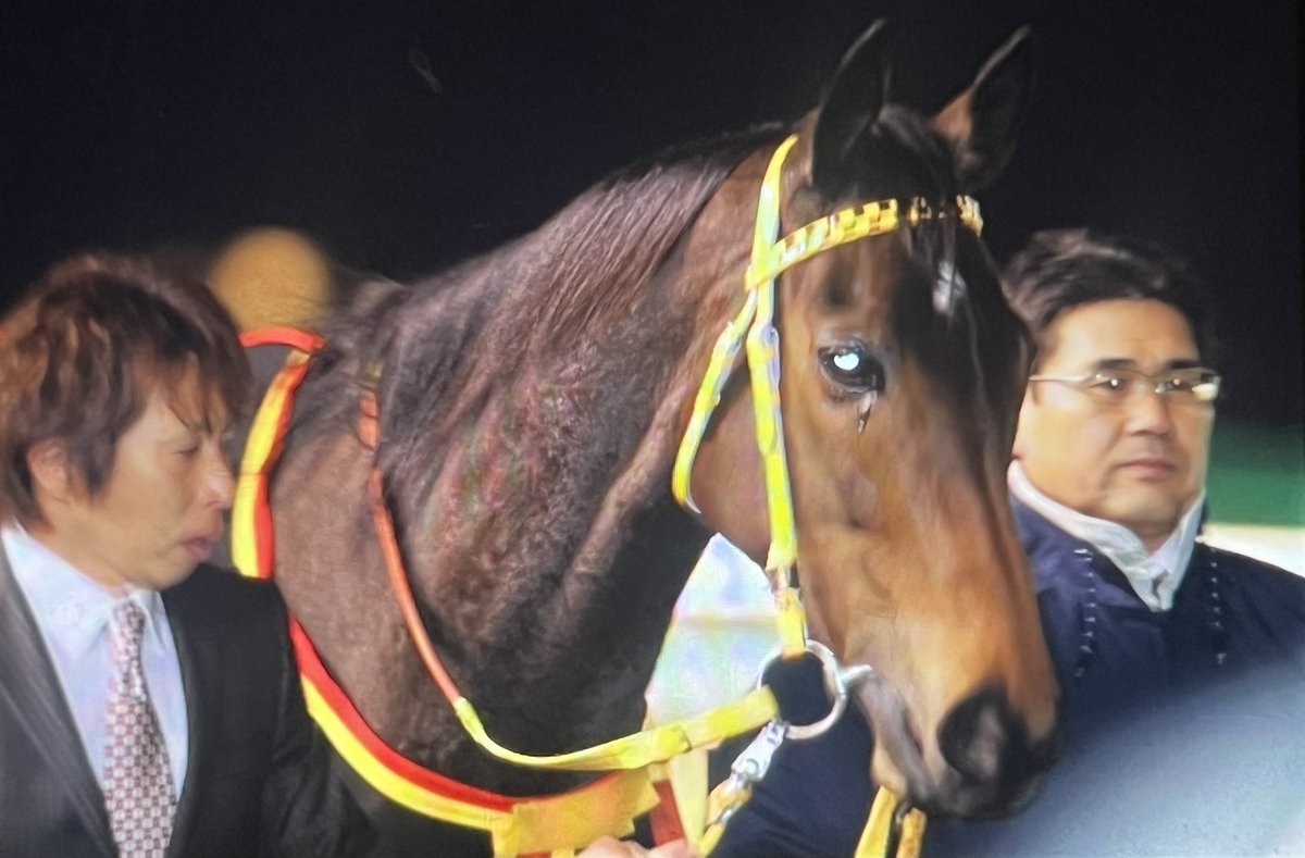 aruhanbura1902's tweet photo. 競走馬にも感情はあるんだよーー
みぞれが舞う中での
ブエナビスタ　引退式

女王が流した涙は何を想うのか、、、。
そして次なる世代交代へ https://t.co/3jzHkeii2F