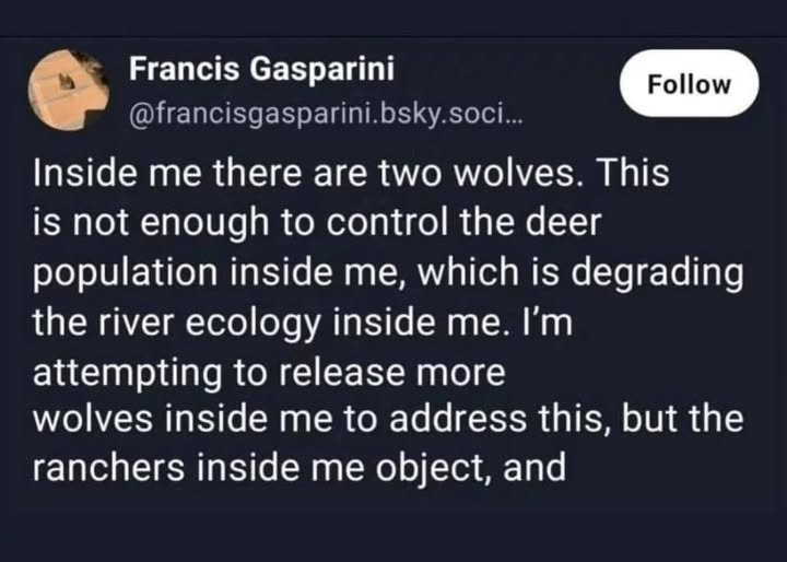 woofknight's tweet photo. https://t.co/X4iDXfjxIU