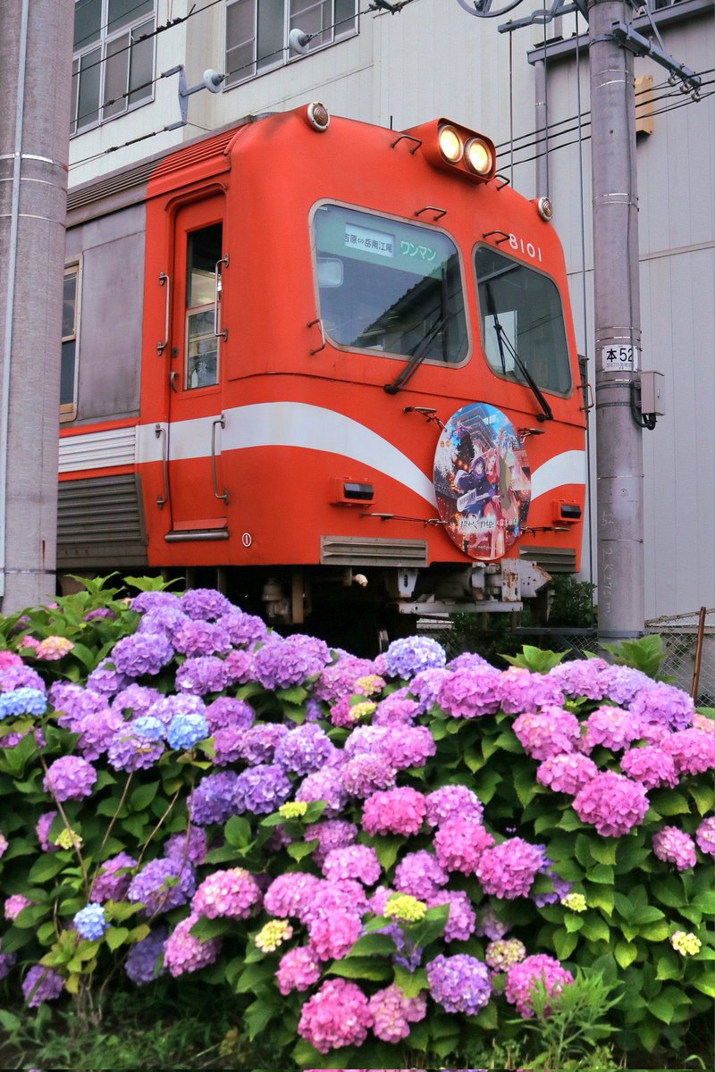 岳ちゃん【岳南電車 公式】 (@GakunanEtrain) / Posts / X