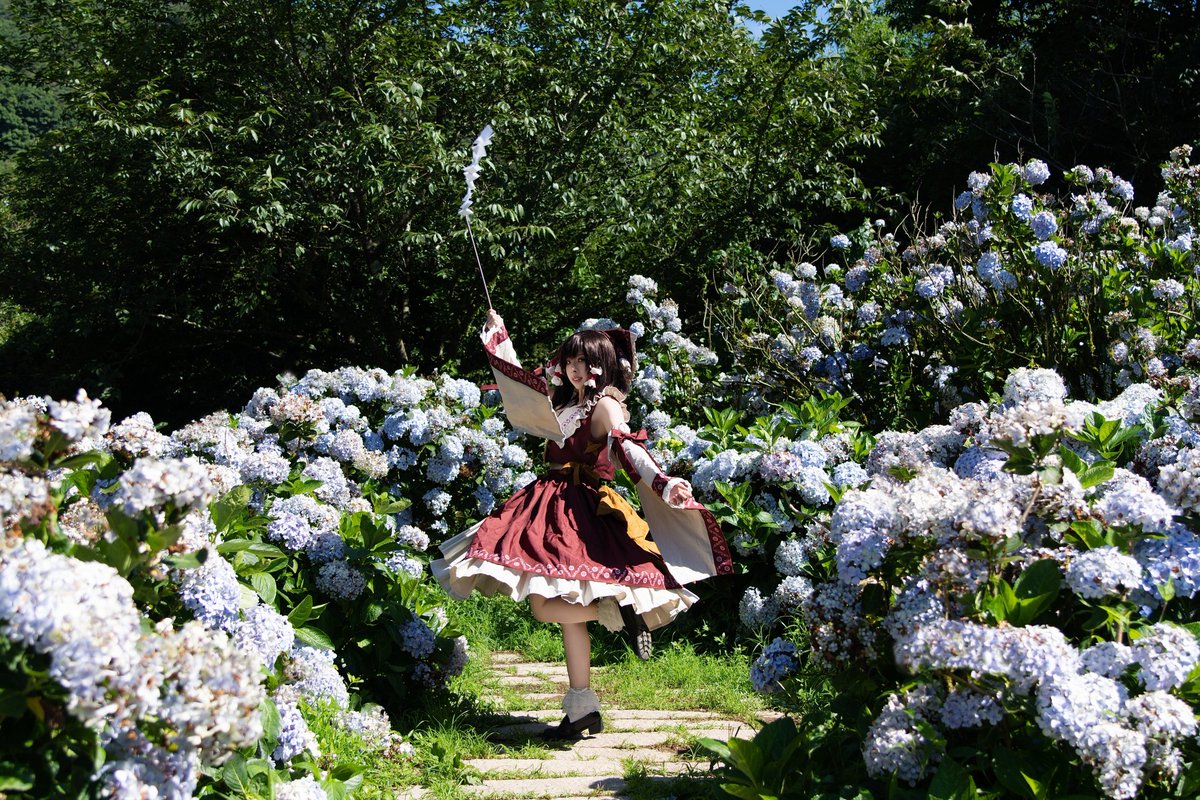 harry00741's tweet photo. 例大祭の翌日は、紫陽花の撮影に行きました😊😊😊

📸 木土
協力 @Gairaku_tw

#東方Projectㅤㅤㅤㅤ 
#東方projectコスプレ 
#博麗霊夢 https://t.co/fahQZoEDPL
