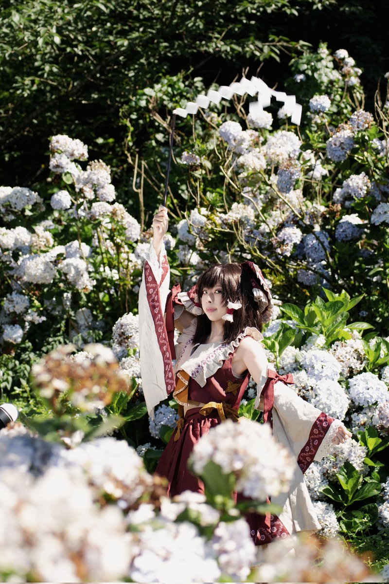 harry00741's tweet photo. 例大祭の翌日は、紫陽花の撮影に行きました😊😊😊

📸 木土
協力 @Gairaku_tw

#東方Projectㅤㅤㅤㅤ 
#東方projectコスプレ 
#博麗霊夢 https://t.co/fahQZoEDPL