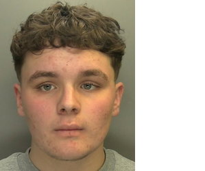 andrew_gosden's tweet photo. Have you seen missing Alfie (16) last seen in #Newport (#SouthWales) on June 16, 2026? (frequents #Barry area) (has brown hair and may wear glasses) (Call South Wales police on 101 quoting 2600194106) https://t.co/uogfeDQyhG https://t.co/GRXLZlI3Hc