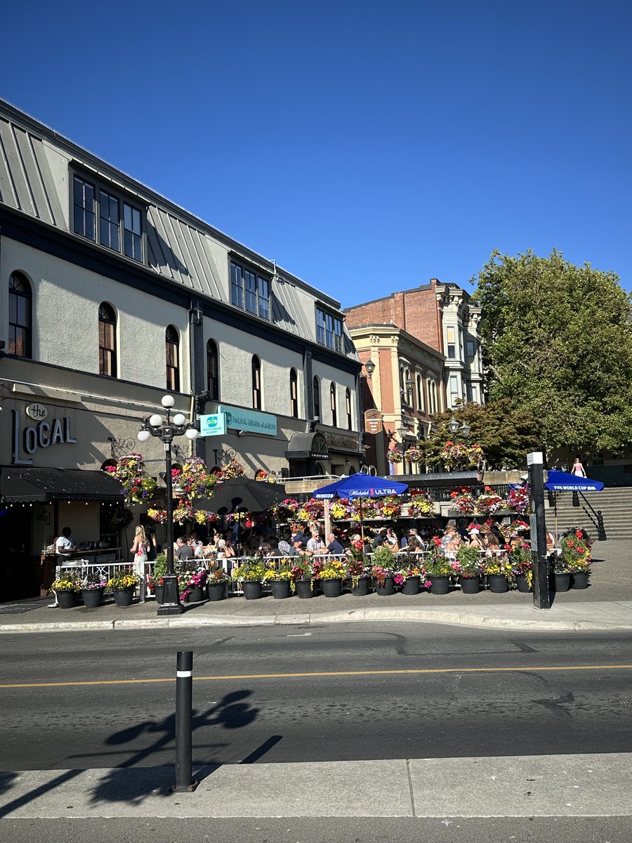 SoloMalc's tweet photo. A quiet beer in the sun at the Local. Victoria, British Columbia, Canada https://t.co/b8fDlGBIAv