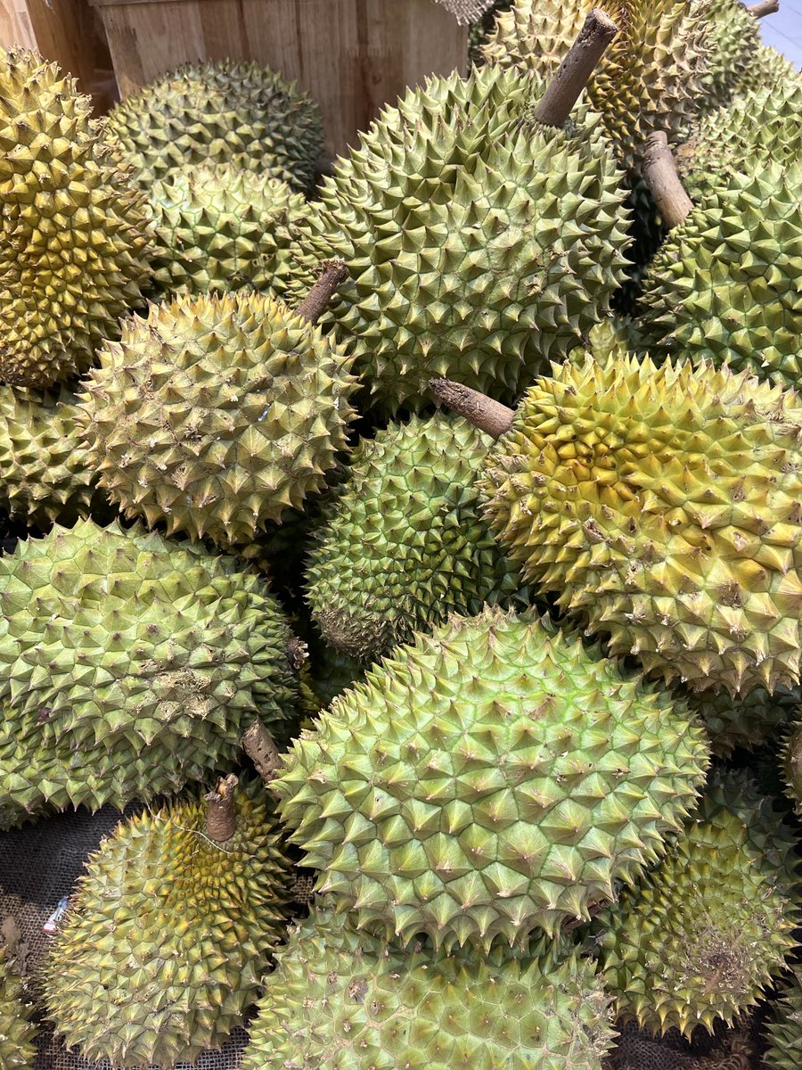pinwheel3131's tweet photo. ベトナム🇻🇳 https://t.co/yL2HEYppc2