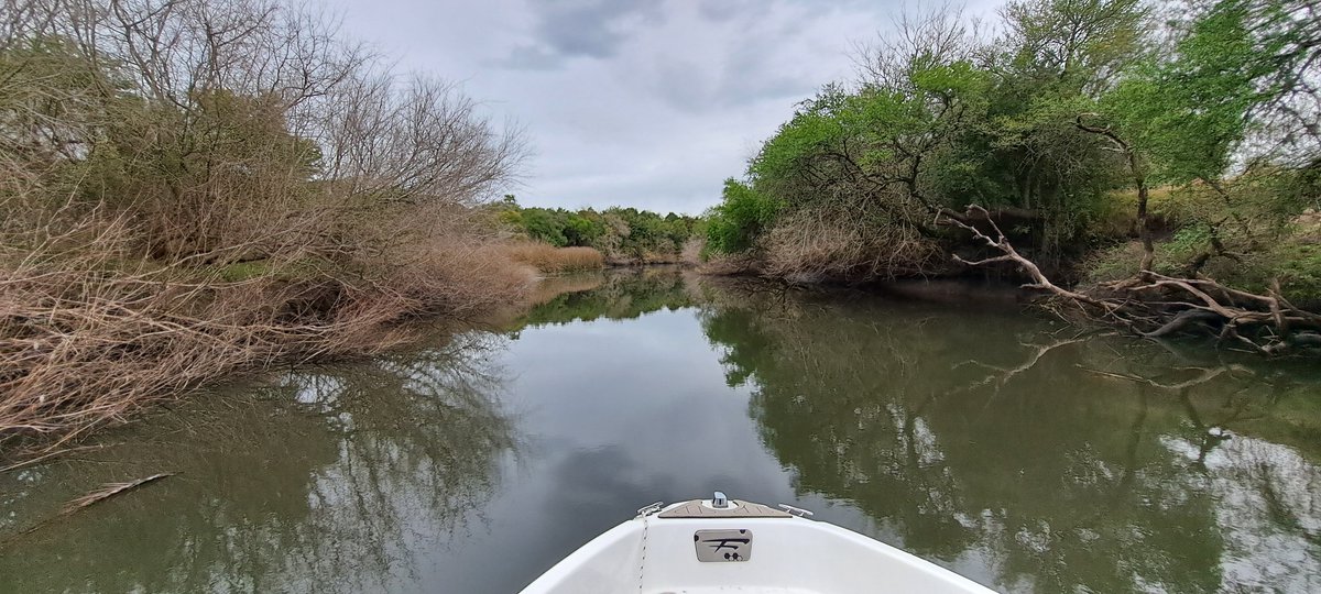 aalvaropm's tweet photo. Jornada fría, pero salió batimetria y control de influencia del río en el arroyo.
Diseño y Sistematización https://t.co/WzFRihsxjT