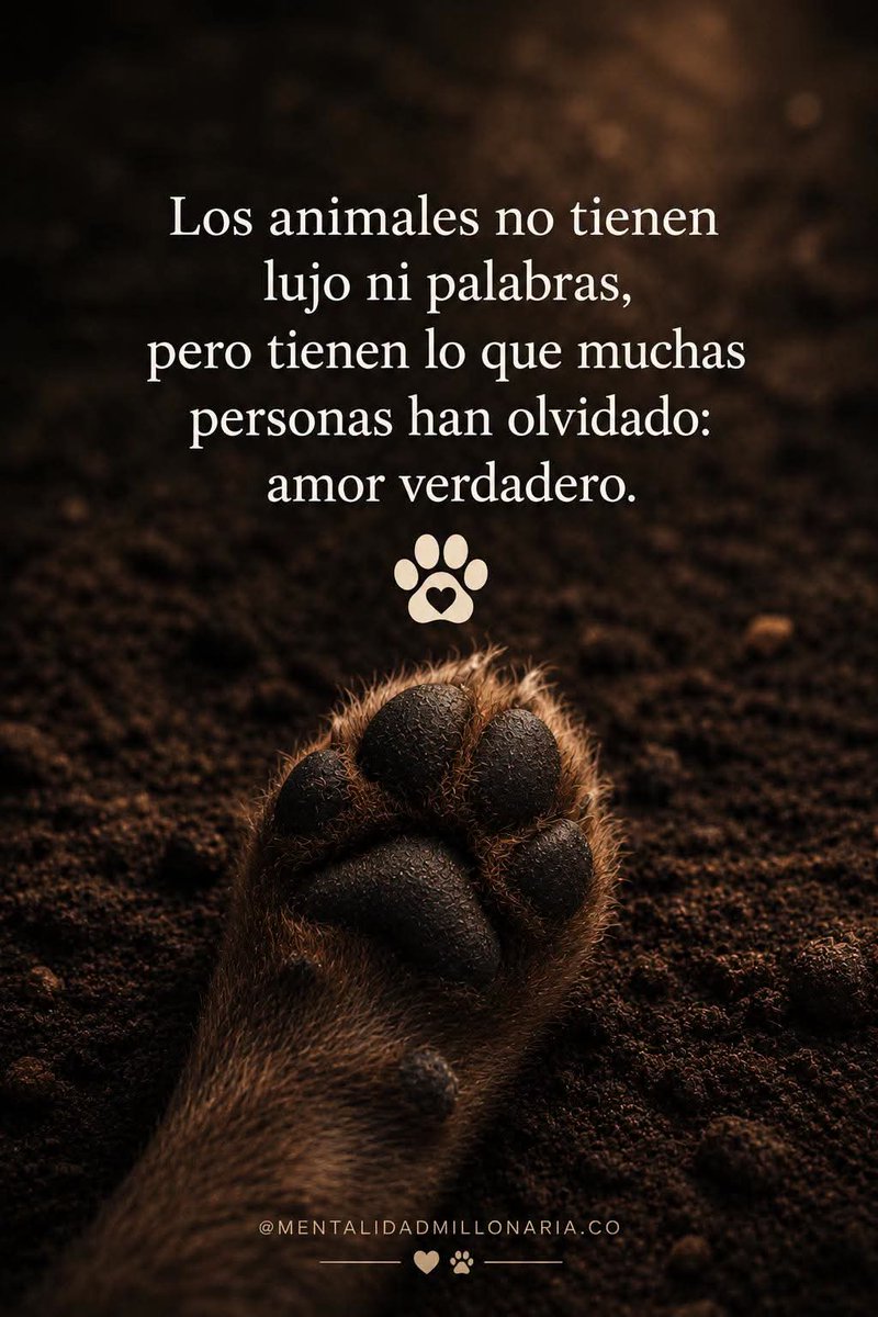 GRamirezF_D12's tweet photo. Buenas noches ✨💖 https://t.co/eRoLJ9jCCT