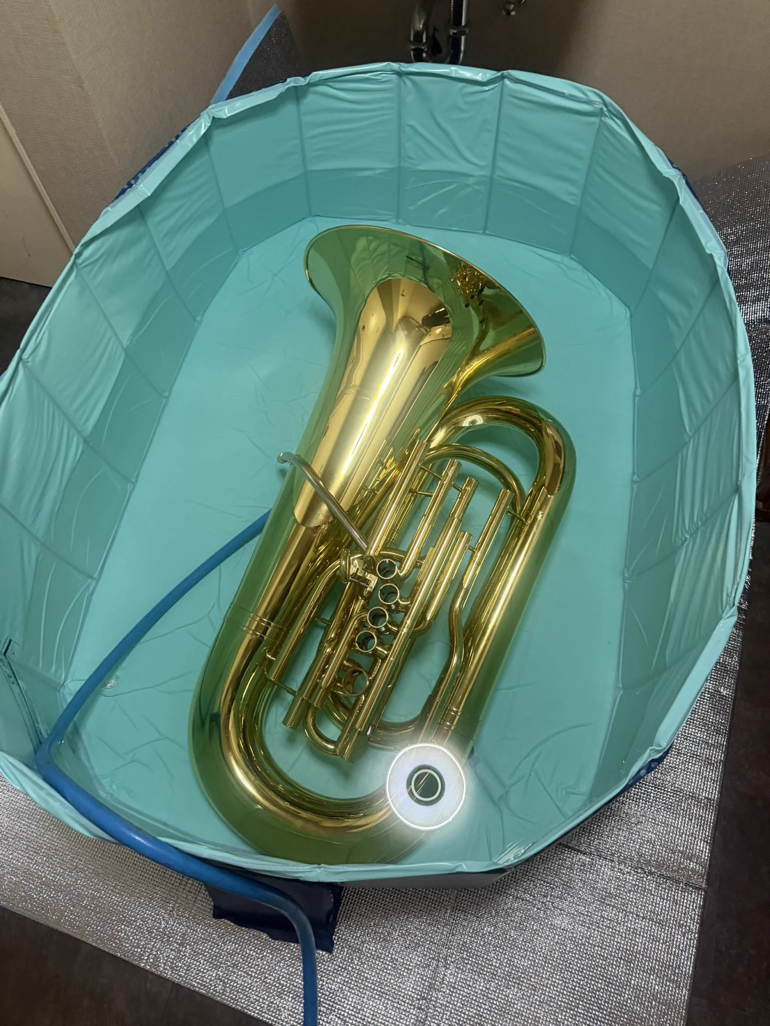 Brass Lab.Momo (@BrassLabMomo) / X