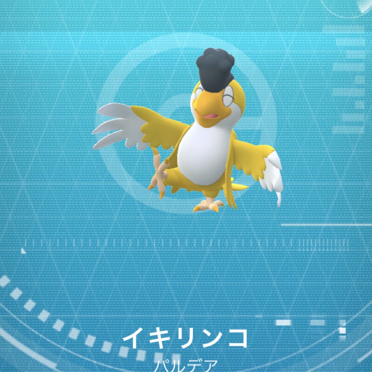 ペローナ@ポケGO tweet media