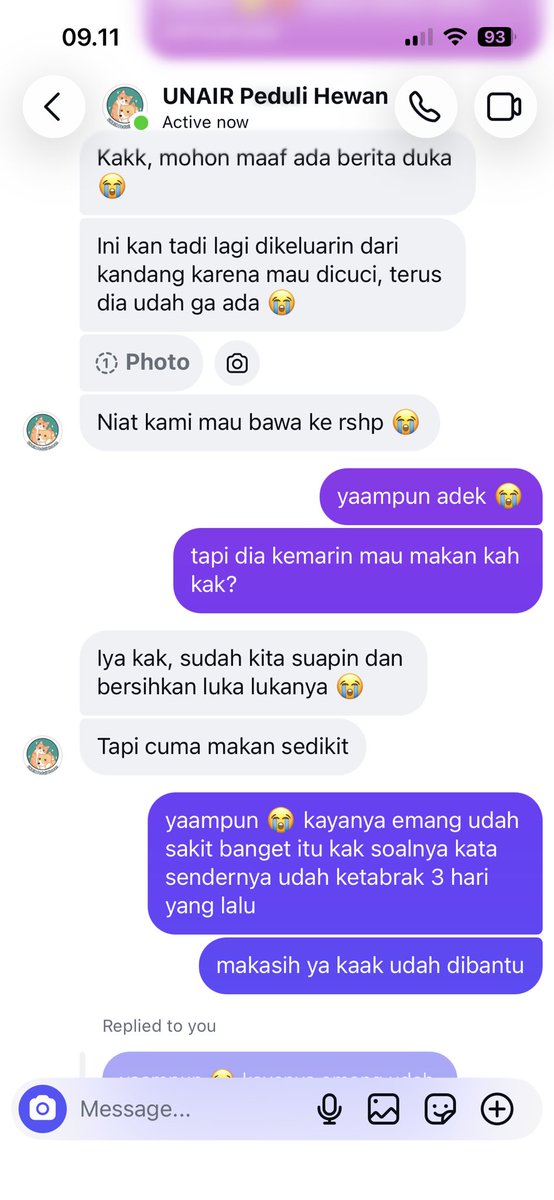 irreguiiar's tweet photo. @ssormfa @unairmfs ka update lagi adeknya udah sempet dikasih makan dan dibersihin lukanya semalem tapi pagi ini udah gaada 😢 https://t.co/k1q0FDW7qq
