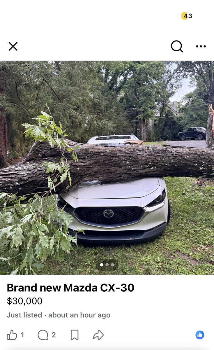 tweakerinttown's tweet photo. Selling my brand new car… Want to make sure she ends up in good hands. Any takers? (Harvey Updike was on to something)  #niche #bv #Fuckthemtrees https://t.co/0jSiomfhxa