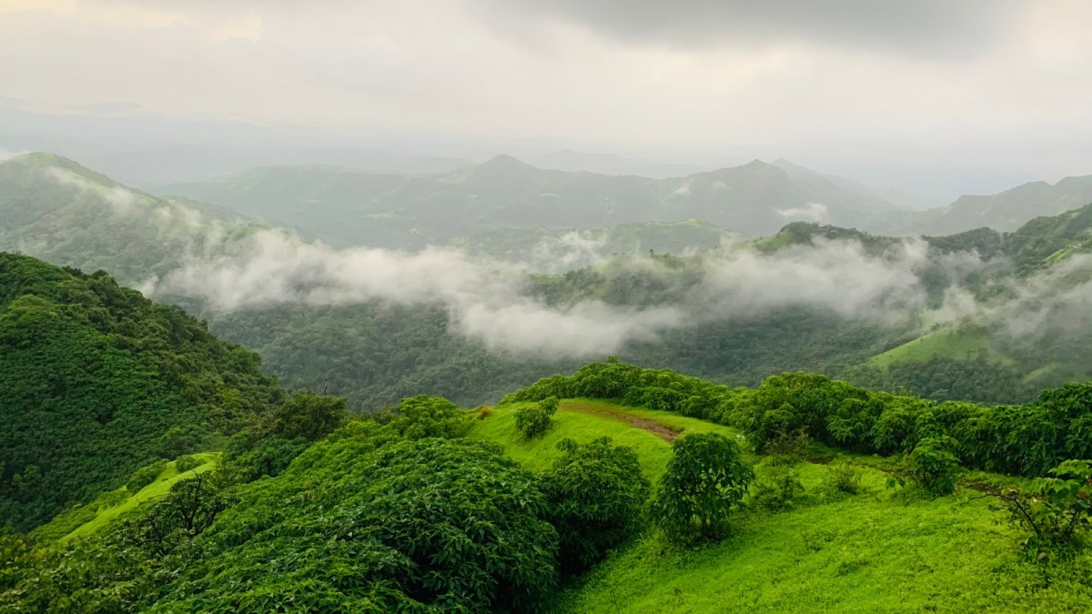 Konga_Slayer's tweet photo. The Western Ghats areas in three states GJ, Goa,MH will be declared Eco-Sensitive Areas This will help protect the area that holds is among the world's top
bio-diversity hotspots.Initially KARNATAKA was included but KA is questioning the very rationale behind the entire exercise. https://t.co/yBYfi9BVZr