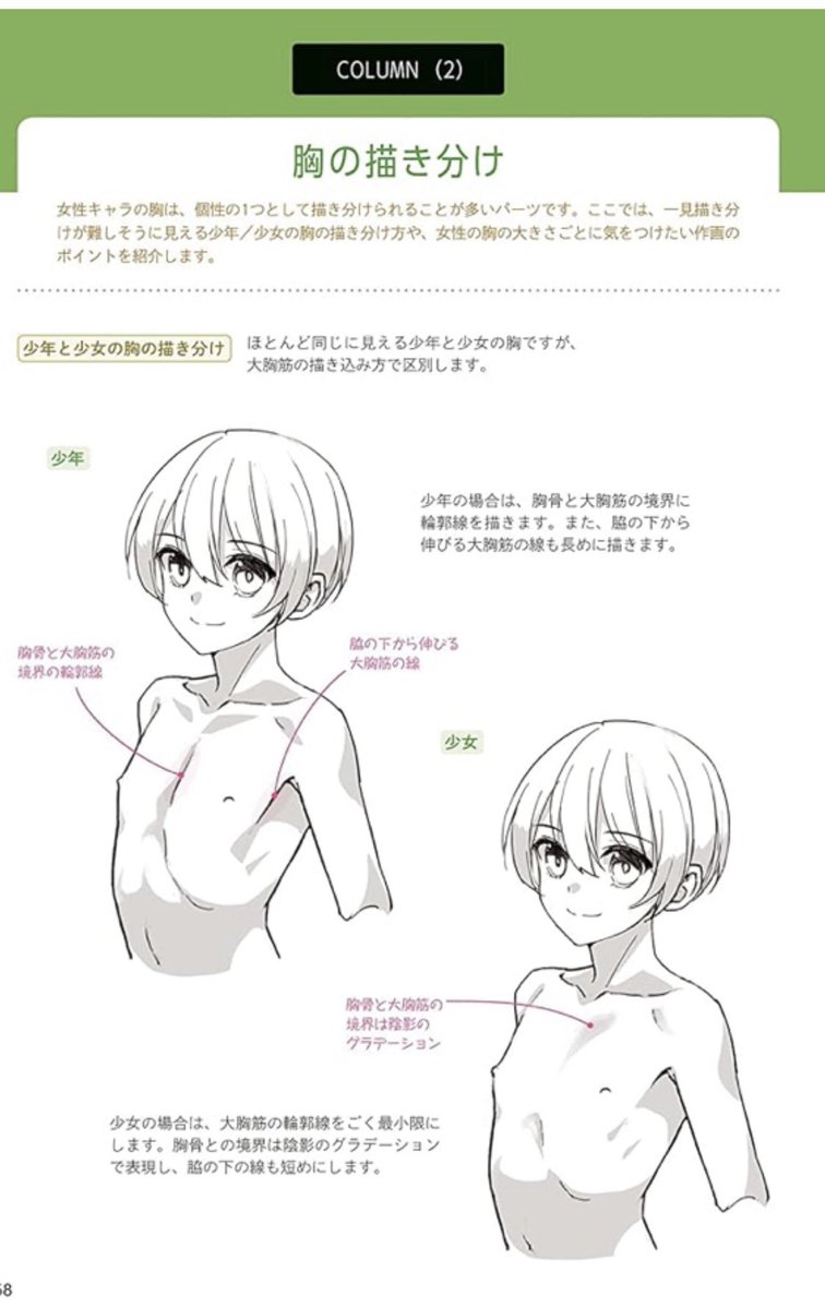 yanayana_co's tweet photo. 宣伝しないとやってられないから不謹慎にも宣伝するぞ！！
ラレた本人が不謹慎なら許される！！

9年も前の絵が不意に目に飛び込んできて辛いので、一番新しく描いたイラスト技法書を見てよ！！
ここでも微妙すぎる胸の陰影の描き分けの話とかしてるよ！

https://t.co/yJ3qxgCSqW https://t.co/bjYTmj3ma4