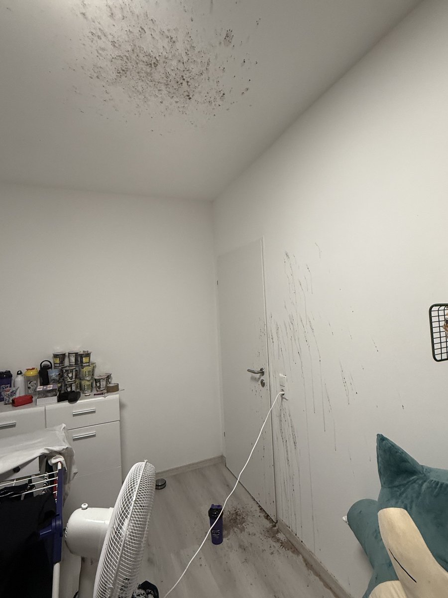 ShekaiGoto's tweet photo. MY GAMER SUPPS EXPLODED WHA IF I END IT ALLLLL https://t.co/6JBfqUrRn2