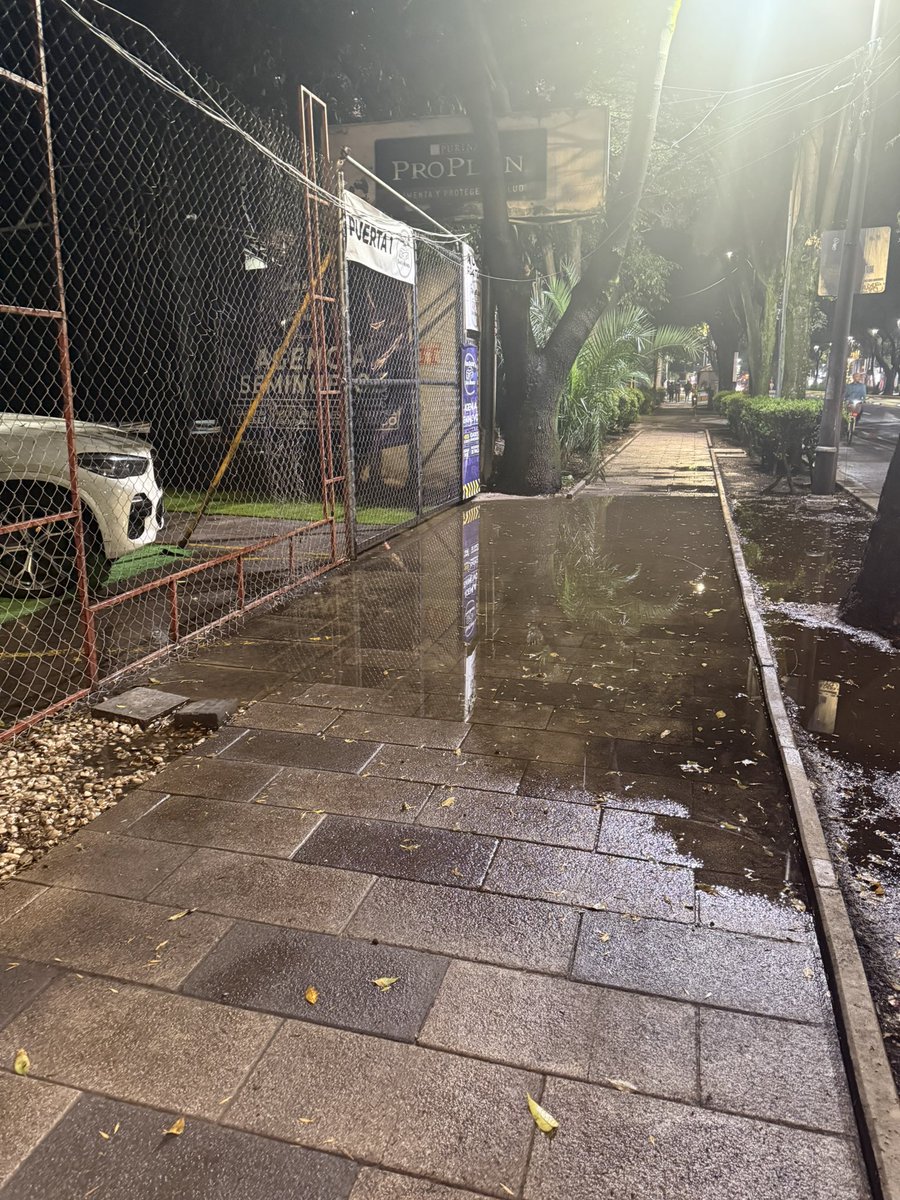 sebasrdgz's tweet photo. @LopezCasarinJ @AlcaldiaAO @locatel_mx @SOBSECDMX @ClaraBrugadaM reportando 3 encharcamientos.
Los primeros: las banquetas que acaban de remodelar con cada lluvia es imposible transitarlas, entre Gustavo E Campa y Juan Pablo II, Guadalupe Inn, sobre Insurgentes Sue https://t.co/Y5XrM0iErB