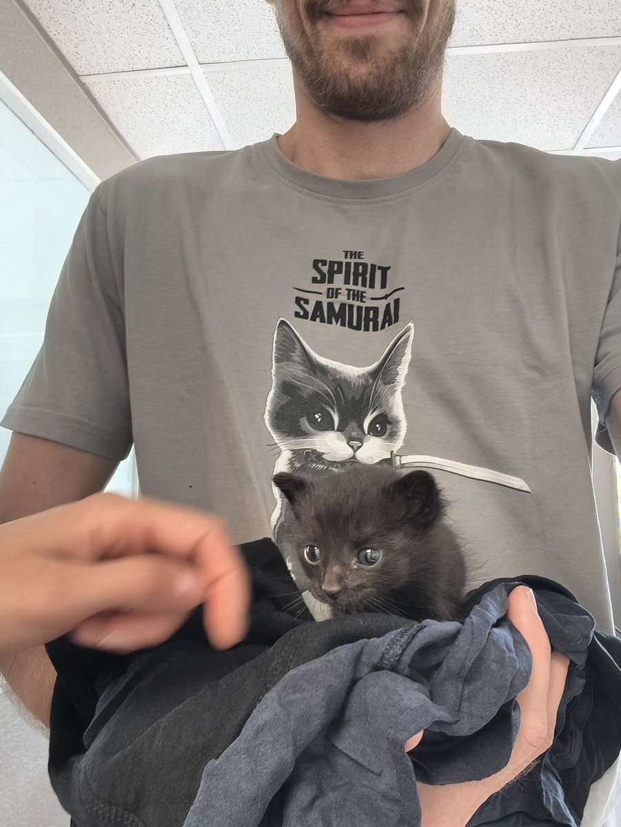 Ze_Redge's tweet photo. La probabilité de trouver un chaton abandonné à côté du boulot le jour où mets ce t-shirt 🥹 https://t.co/Rkrht5qdfh