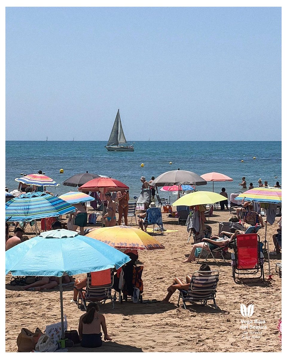 coMarcaVegaBaja's tweet photo. ¿Sabías que la #PlayadeLosLocos debe su nombre a los pacientes del antiguo sanatorio del Carmen, situado muy cerca de esta zona?
🌊 Hoy es uno de los rincones más emblemáticos de #Torrevieja.
💙 Mar, sal y una buena tapa de hueva con almendras.

@torreviejaturis @TorreviejaAyto https://t.co/SV9OvR0KYe