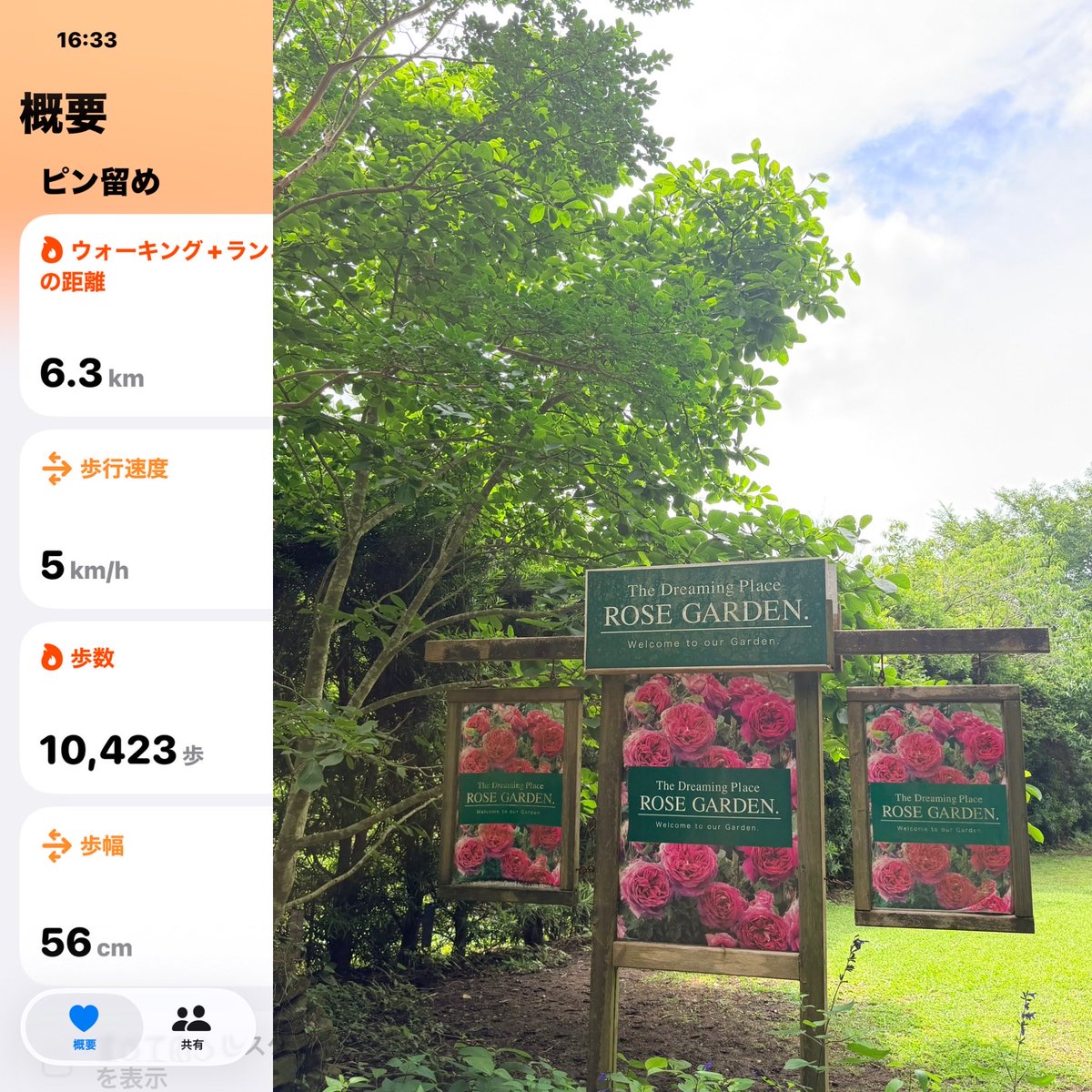 tommyriver's tweet photo. 今日のお散歩🚶‍♀️ https://t.co/HnJFcBdot6