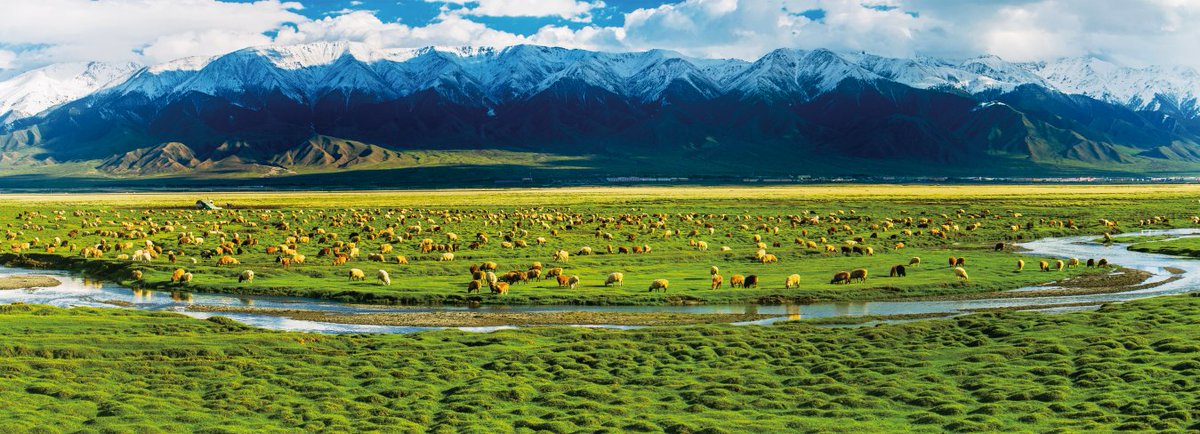 cgtnenespanol's tweet photo. Como puerta de entrada a la región autónoma uigur de Xinjiang, Hami reúne algunos de los paisajes más representativos de la región, razón por la que suele ser conocida como un auténtico microcosmos de Xinjiang. #wh #cine #SIFF #SIFF2026 #STVF https://t.co/fnSLO2aez7 https://t.co/g6CFqbZ4zu