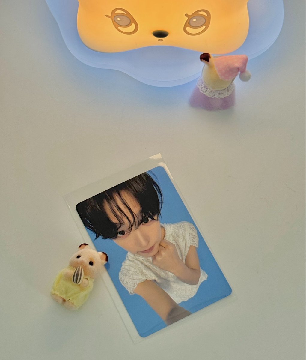 weneedkat's tweet photo. 위츄 무드등 왓어 귀엽다 https://t.co/DJNicvRLAC