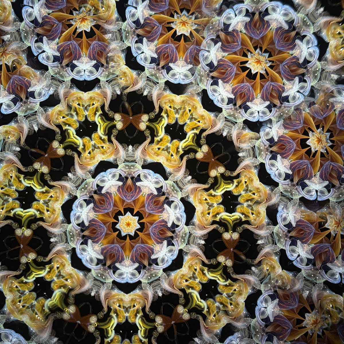 kikuyon's tweet photo. 「Orion」
Kaleidoscope EXPO 2026 出品作品より。

岐阜の実家から帰宅😊
リフレッシュできたしエネルギーも注入できました。
制作がんばろ！ https://t.co/6TC2y4PmFV