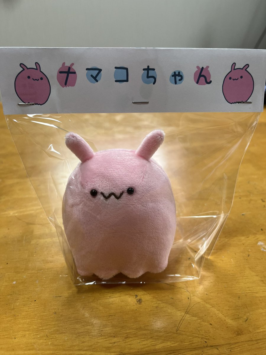 nishijim's tweet photo. タグつけ忘れてたので！！
#ナマコちゃん届いた https://t.co/0qaFiLQSpM