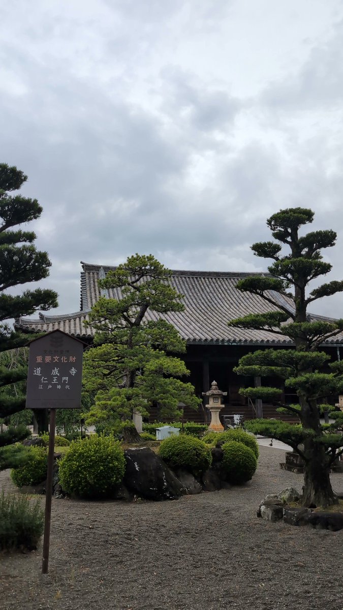 6080B's tweet photo. 早く着き過ぎて道成寺観光🏯
〒649-1331 和歌山県日高郡日高川町鐘巻1738
有名な鐘🔔あるんかと思ったら、まさか地元の妙満寺にあるってグーグルさんが教えてくれた🤣
知らなかった💦
#道成寺 https://t.co/CCr1rJCMAR