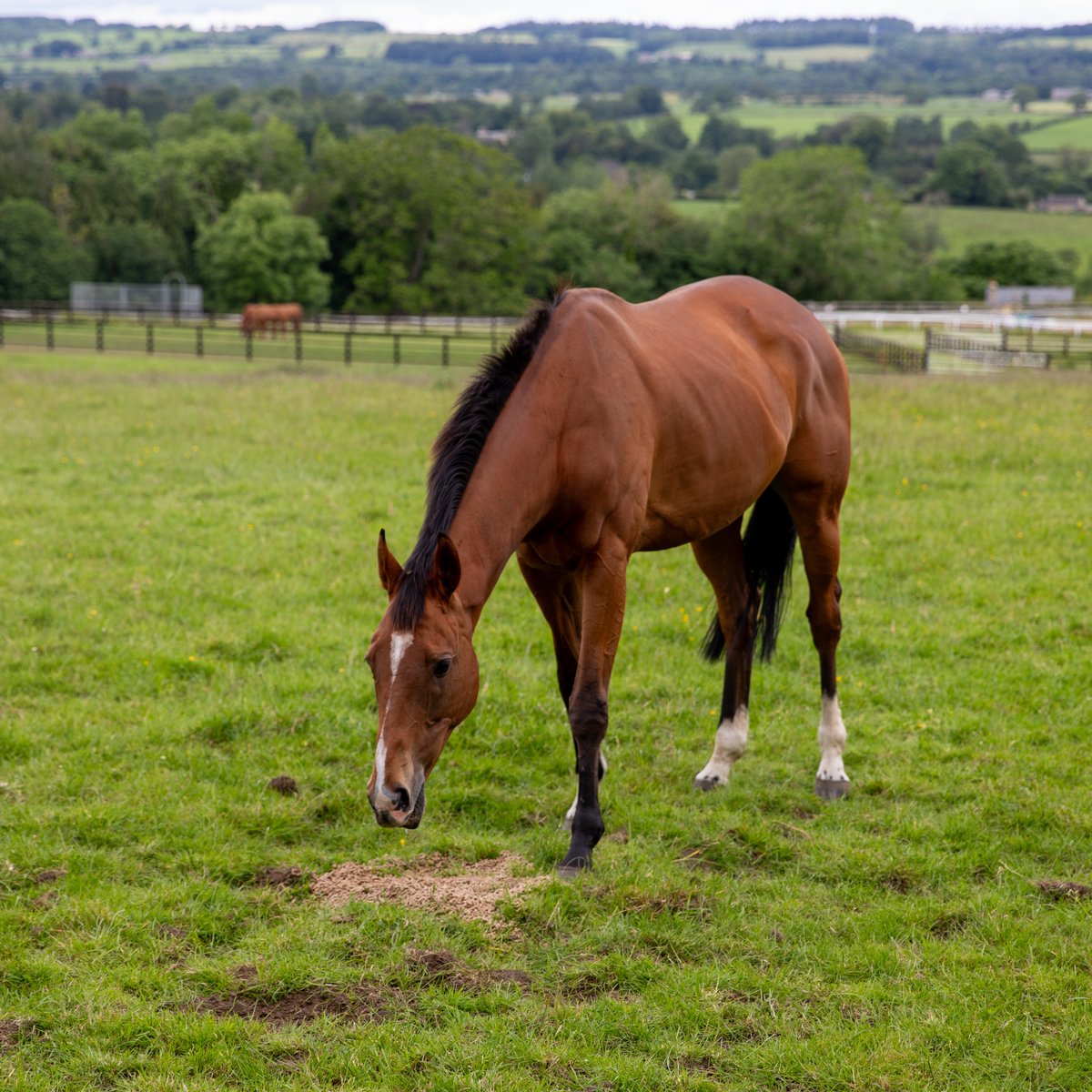 MprUpdates tweet picture