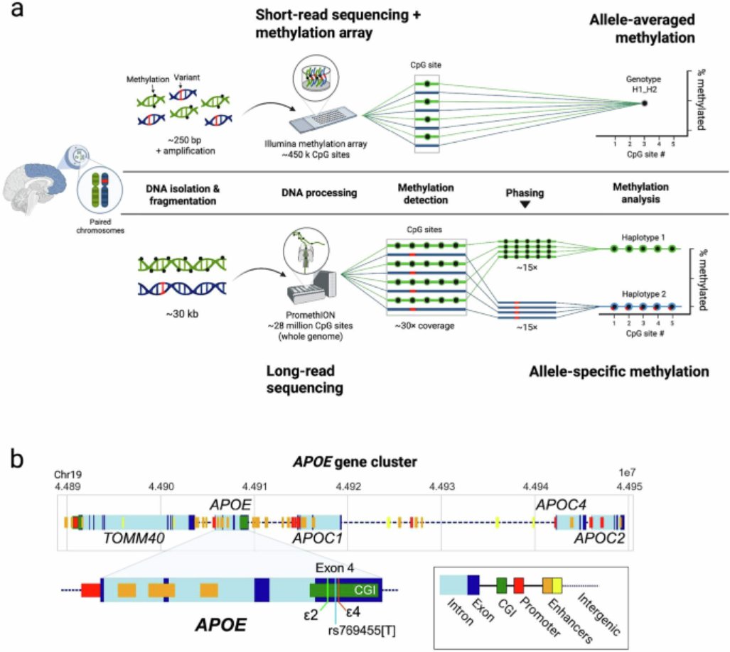ScienceofPD tweet picture
