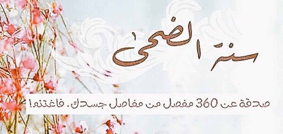 HS09ws's tweet photo. ✍🏻صلاةُ الضّحى".. نَسمة عليلة تجعل الصبح أجْمل.. تصدّقوا عن مفاصلكم الثلاثمائة وستين بركعتينٍ أقلّها... (
ما زال في الوقت متسع إذا لم تصلي.) *
#حصه_الواصل https://t.co/Ipt4DjWAaC