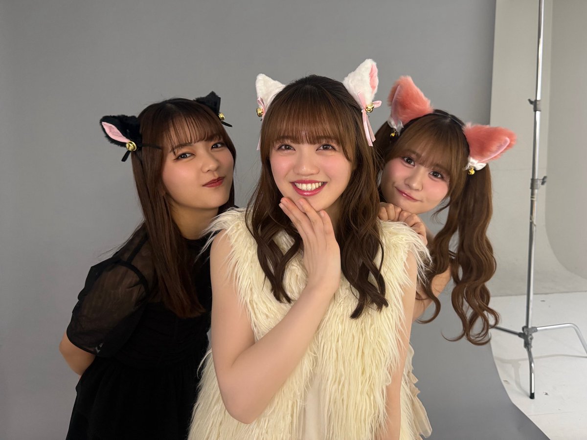 battengirls_jp's tweet photo. 1匹撮ってたら集まってきました🐈🐈‍⬛))

#ばってん少女隊 #ばっしょー
#ばっしょーの日常 https://t.co/yGHE26PxZh