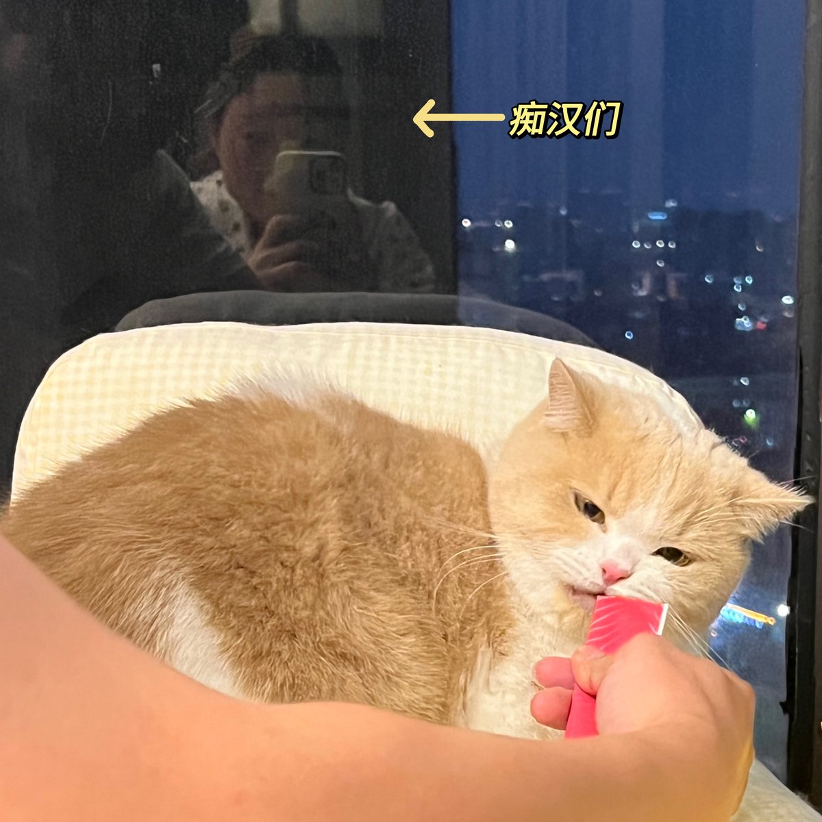 qwkvpvp's tweet photo. Nothing hits quite like sharing a pack of crispy, salty potato chips with your favorite people after a long day https://t.co/vNjiaCSpNe
