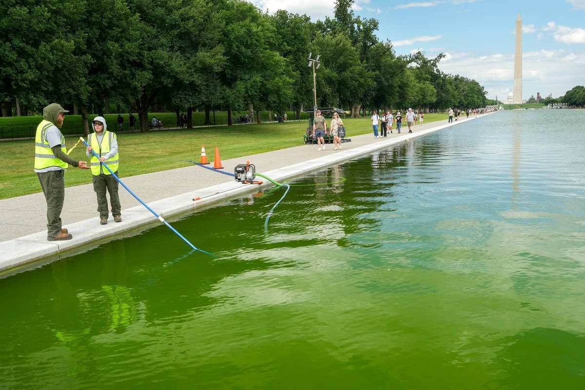 LongestNameOnTw's tweet photo. It's so obvious that Mountain Dew is behind #Greenwatergate to usher in the Age of Idiocracy https://t.co/8lHYmPfiIx