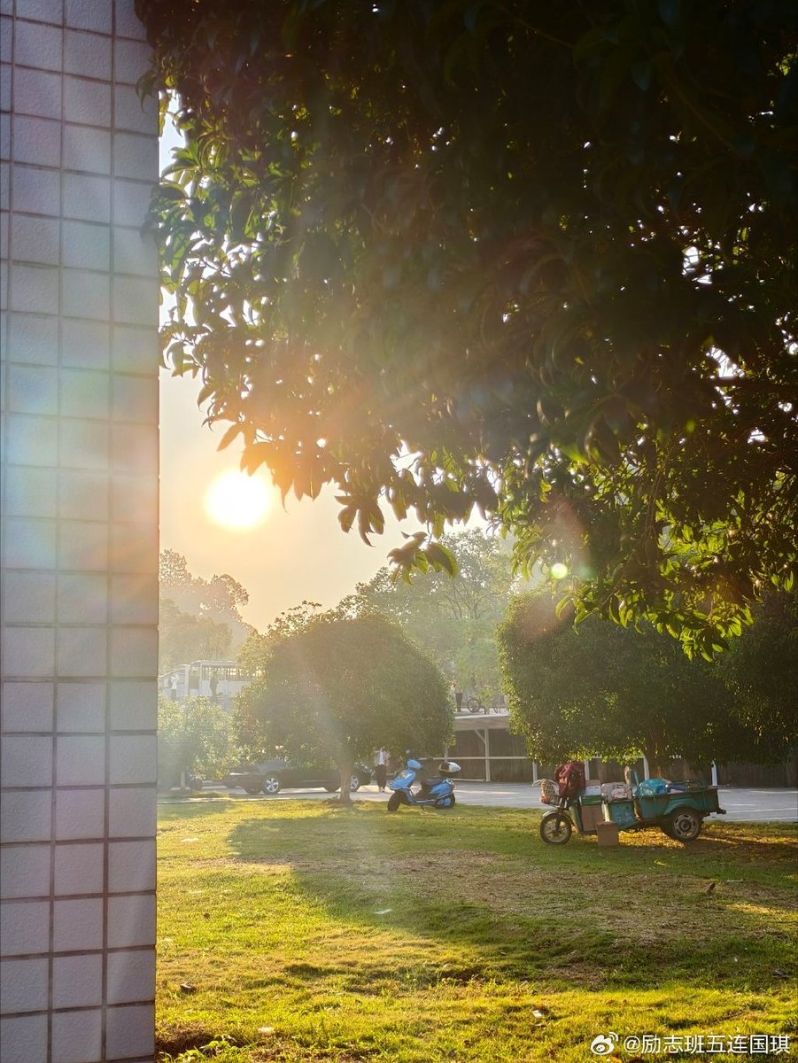 dilliteu1's tweet photo. New semester, new starts! Let’s chase goals, make friends and learn something amazing together this term. https://t.co/8oLShNNzbF