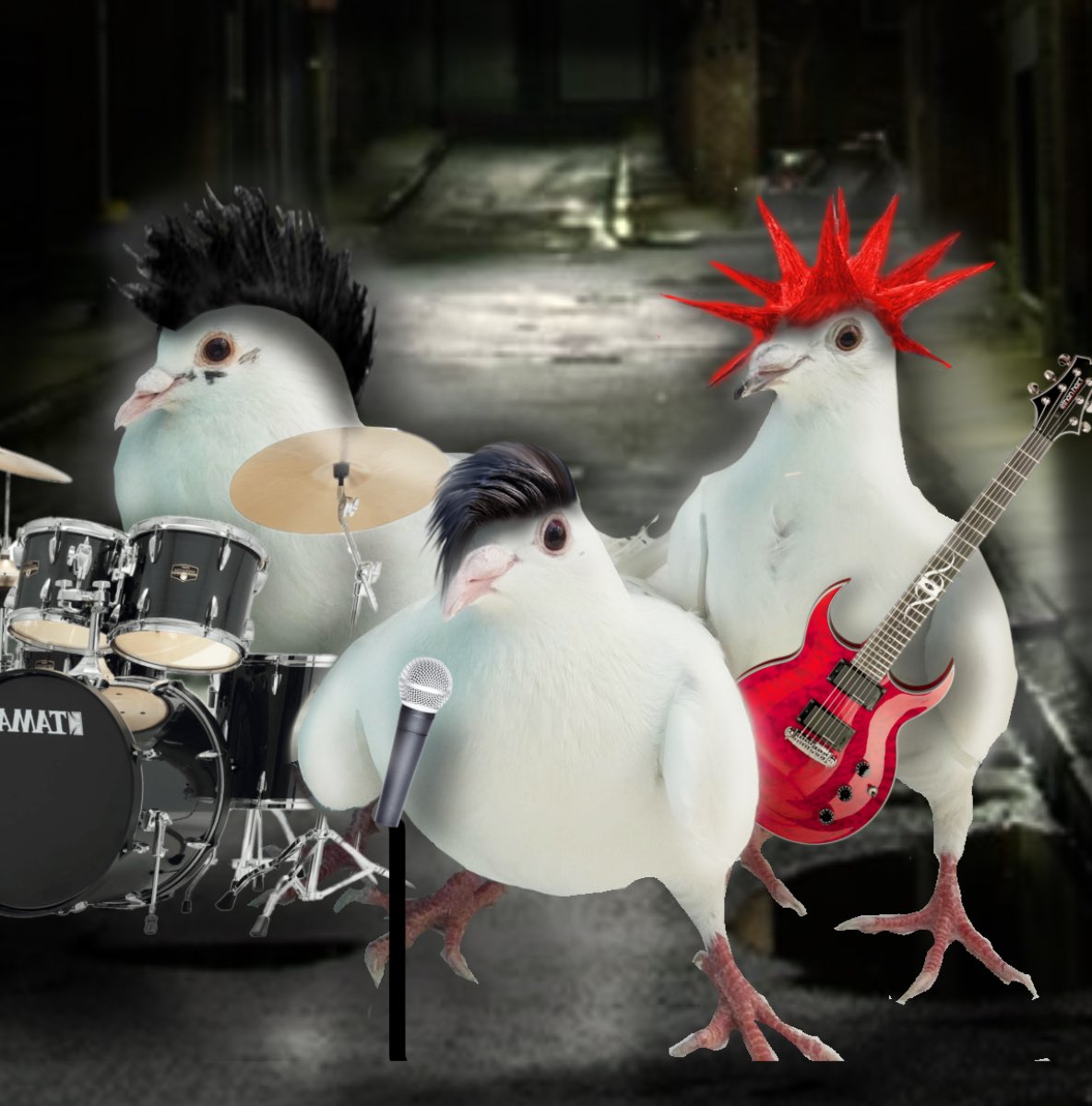 _MazyM's tweet photo. The rescue I work with got these pigeons today and tell me right now that they don’t look like they are posing for a punk rock band 🎸 

So I edited them into a punk rock band: https://t.co/ts3uLCYLWh