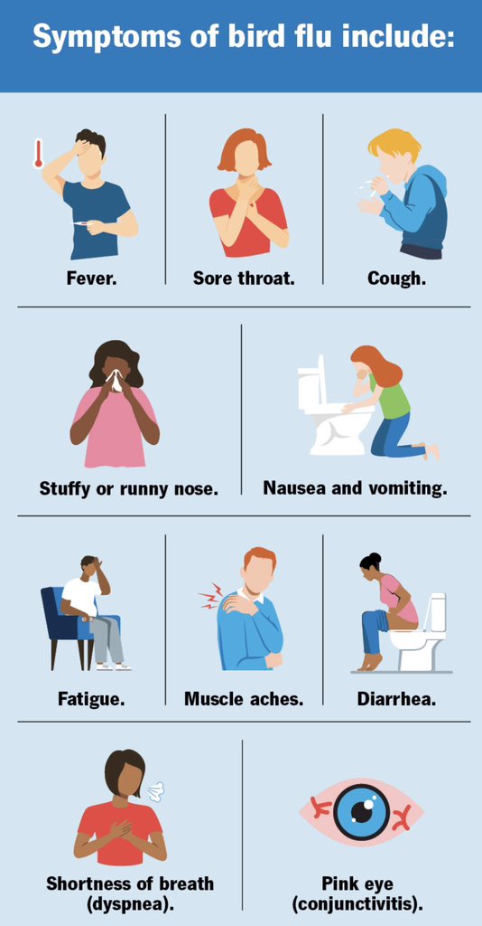sanosamachar's tweet photo. The deadly bird flu has spread across the country in the recent days.

Bird flu is a contagious virus that affects chickens and other birds and can be transmitted to humans who come into direct contact with infected birds, but it does not spread easily from person to person. https://t.co/OnZl2bIQyh