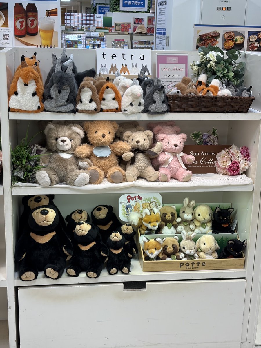 サン・アロー公式オンラインショップ (@teddys_shop) / Posts / X
