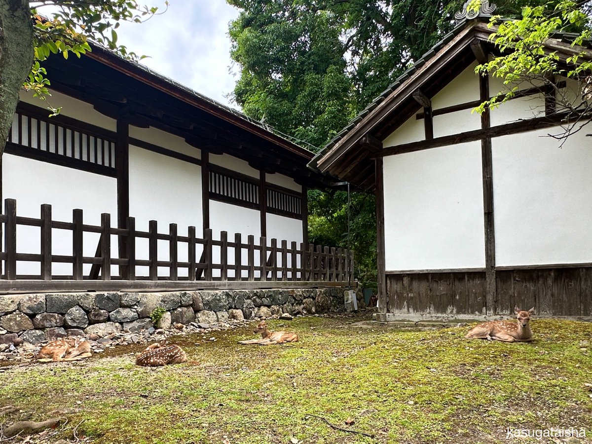 春日大社 kasugataisha shrine (@KASUGASHRINE) / Posts / X