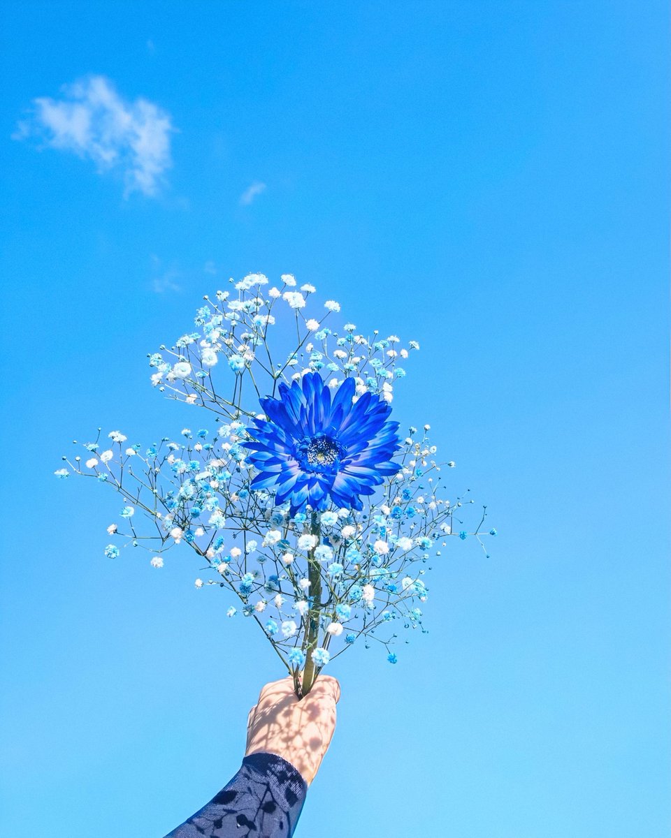 gardenofcolours's tweet photo. https://t.co/OAlJge8TQY