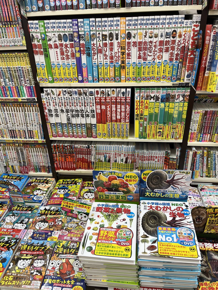 児童書新刊情報】 小学館の図鑑NEOに新版登場✨ ・大むかしの生物