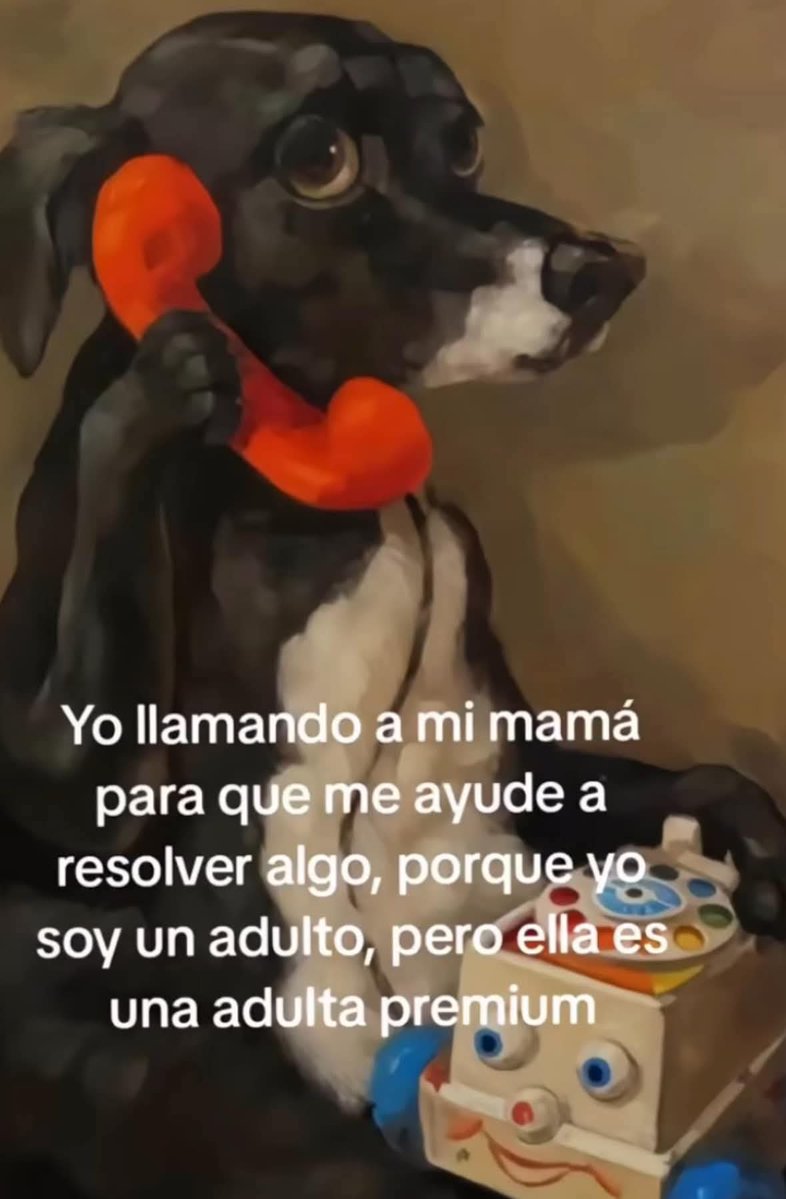 Animalesaprieto's tweet photo. https://t.co/Ptf6QOSUVP