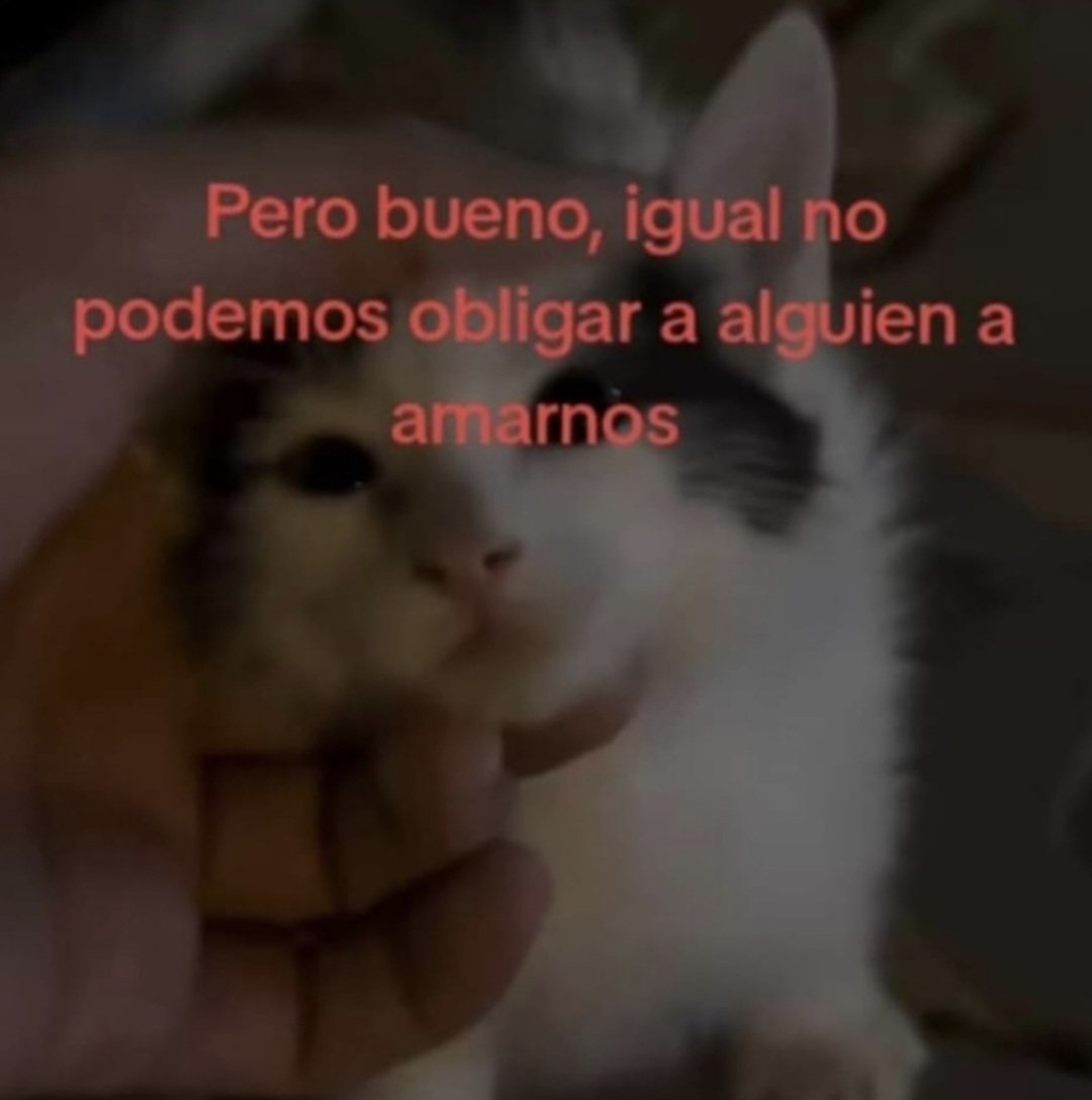 Animalesaprieto's tweet photo. https://t.co/uz4gb4lfHe