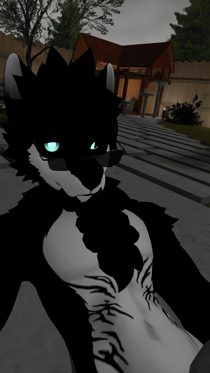 Wolfy tweet media