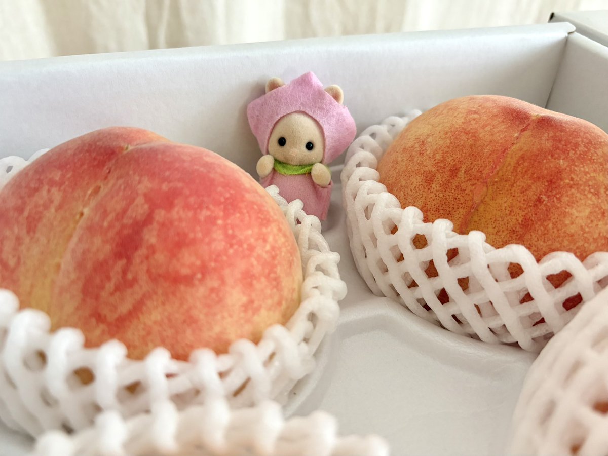 kitaura_5's tweet photo. 今年も桃が届きました🍑
桃スイーツも楽しみたいです！

#シルバニアファミリー https://t.co/C2rwDmbWFy