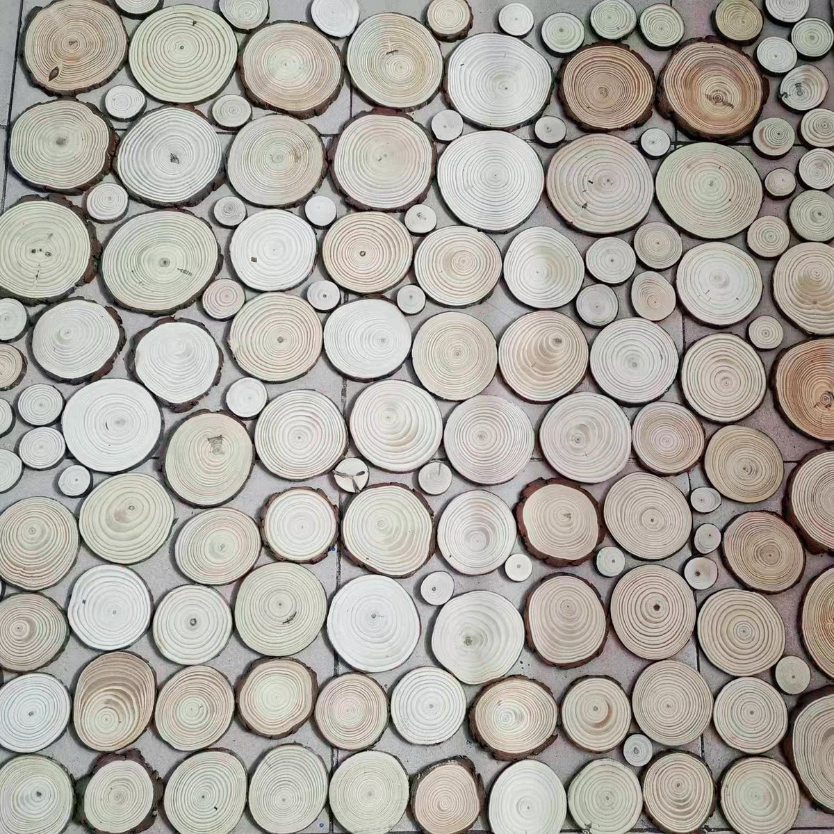 NaturalDoctor_'s tweet photo. Natural Wood Slice Feature Wall
Bring the beauty of nature into your sauna. Every wood slice showcases unique grain patterns, creating a warm Nordic atmosphere and a truly one-of-a-kind wellness space. https://t.co/ZUZG7cZz92