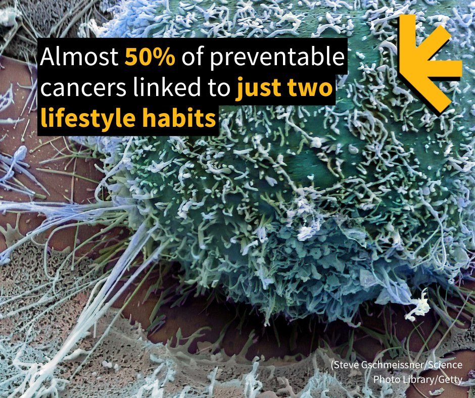 ScienceAlert's tweet photo. Millions of deadly cancers every year could be prevented.
https://t.co/lZj7yOqyOR

#CancerPrevention #ScienceAlert #Health #ScienceNewsHighlights https://t.co/Vuho8WO1cf